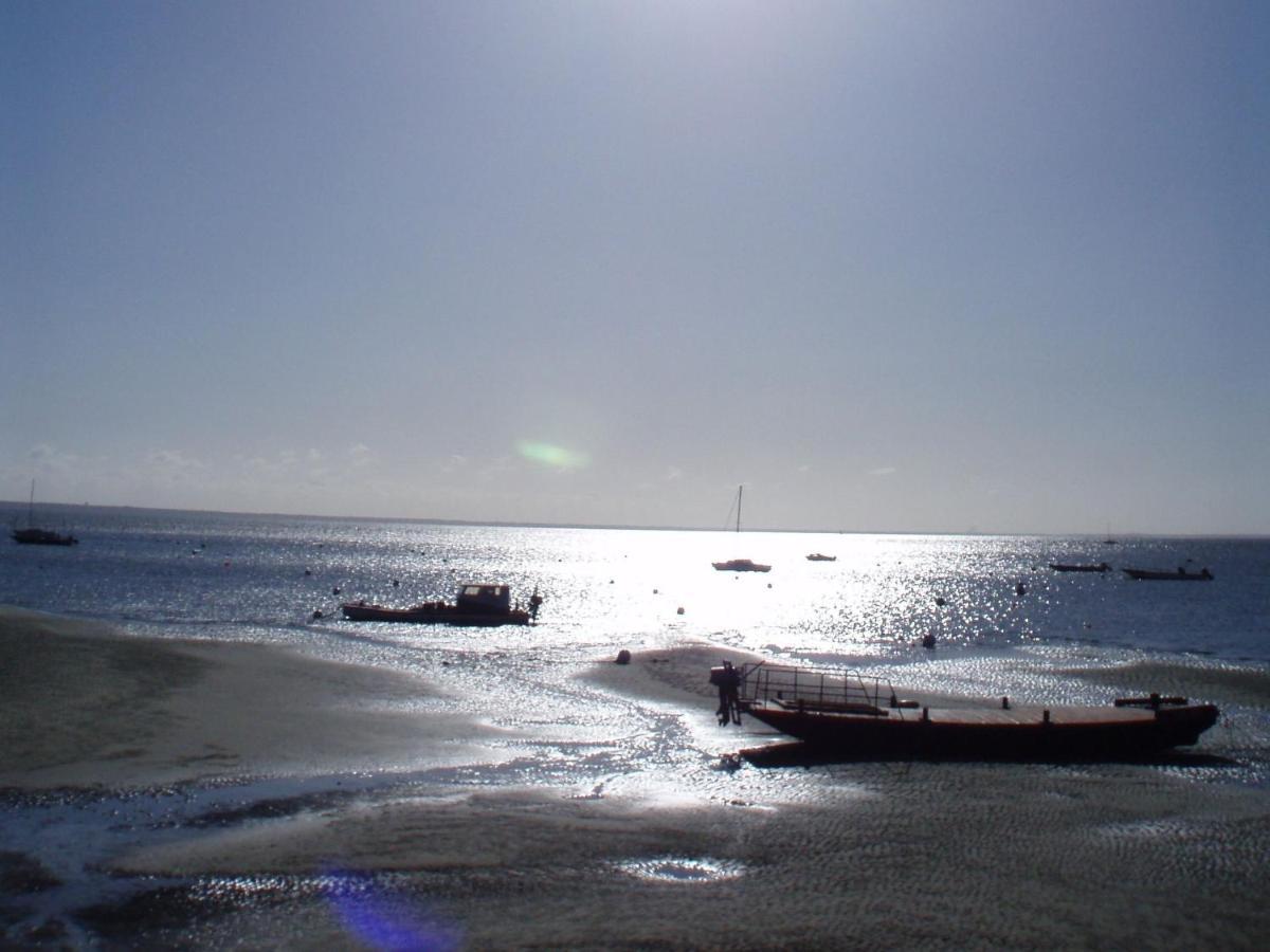 La Cabane Du Truquet Lège-Cap-Ferret 外观 照片