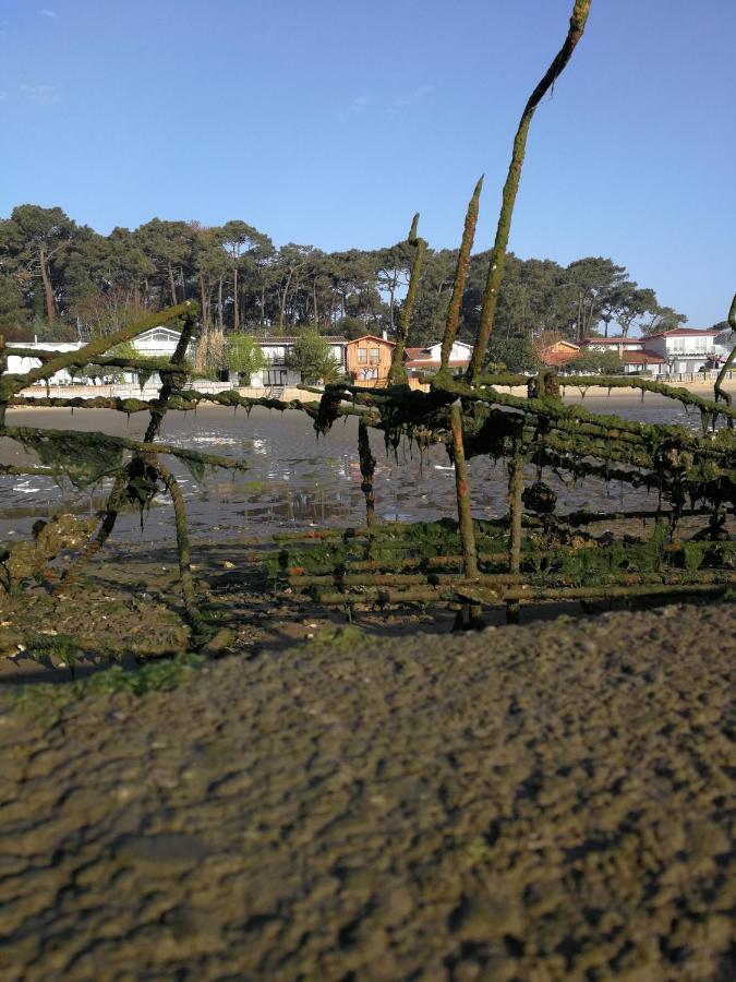 La Cabane Du Truquet Lège-Cap-Ferret 外观 照片