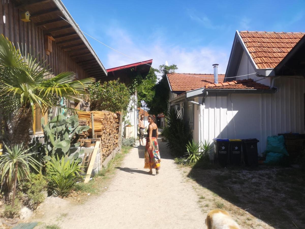La Cabane Du Truquet Lège-Cap-Ferret 外观 照片